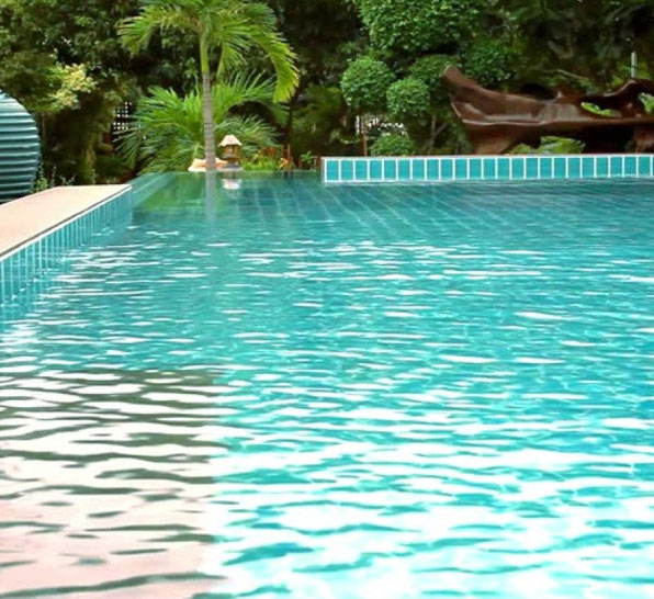 Swimming Pool Accessories in Navi Mumbai